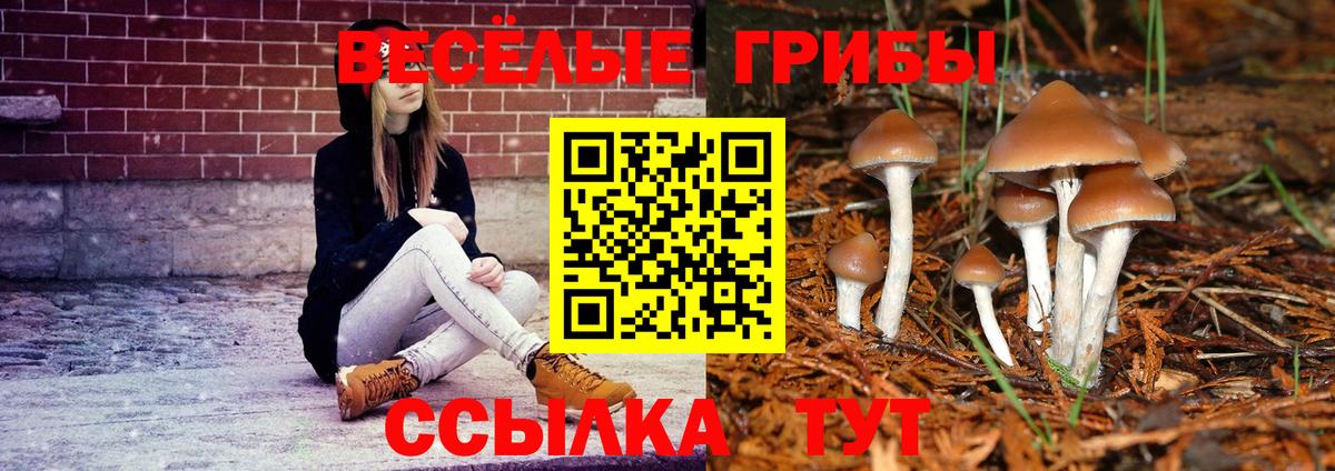 Галлюциногенные грибы Psilocybe  Вход с VPN  Ижевск 